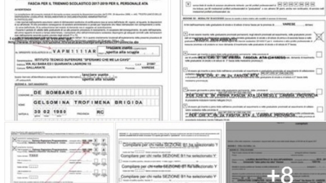 come compilare correttamente l'allegato D1