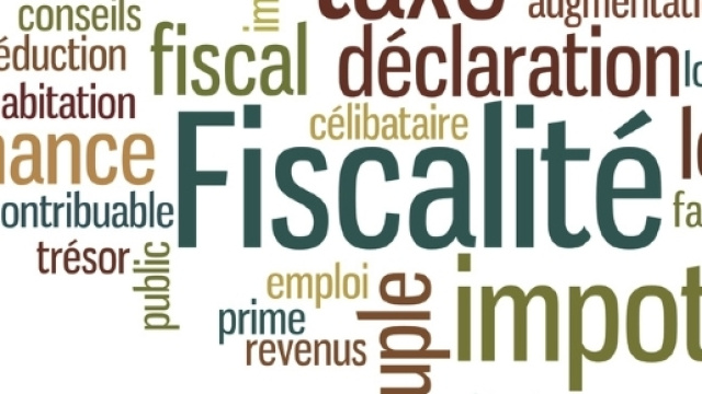 Les classes moyennes-sup&eacute;rieures s'estiment matraqu&eacute;es fiscalement par Macron