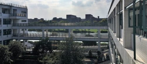 Democracy rises from within individuals. (Image Credit: ALSOtf/Pixabay)