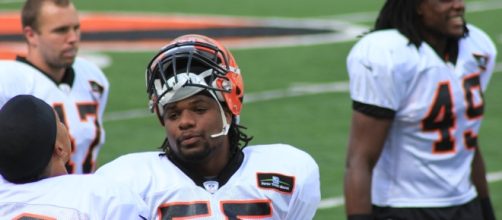 Vontaze Burfict -- Navin75/Flickr