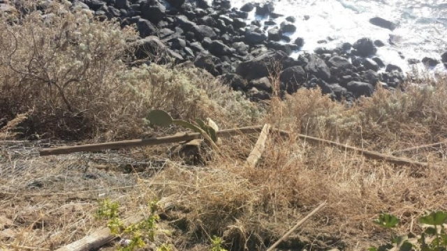 Cdavere di una donna rinvenuto su una spiaggia.