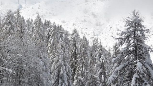 Svelate le prime previsioni per l'inverno 2017-2018
