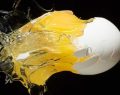 Under the Radar: Scientists Discovered How to Unboil Eggs