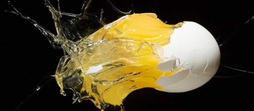 Aussies win Ig Nobel Awards again - Australian Geographic - com.au