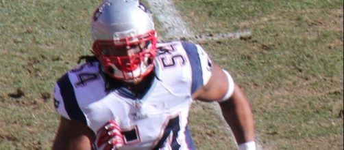 Dont'a Hightower [Image by Jeffrey Beall|Wikimedia Commons| Cropped | CC BY-SA 2.0 ]