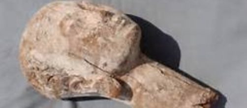 The head of sixth-dynasty ruler, Queen Ankhnespepy II Wikipedia