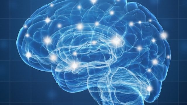 cervello: la serotonina lo accende