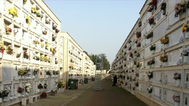 Cimitero di Bitonto (Bari) (fonte BitontoLive.it)