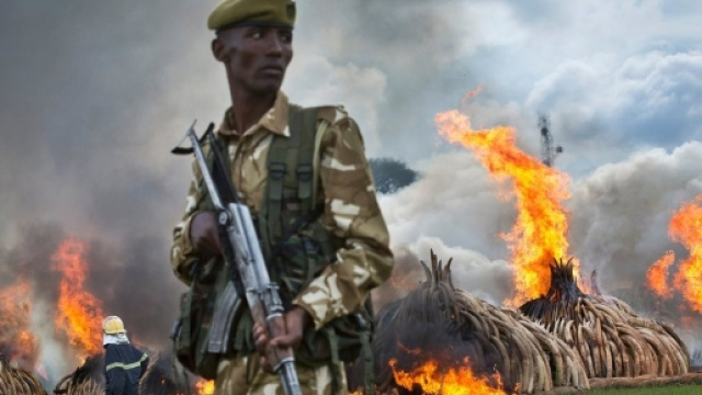 Kenya Protests Turn Violent - Video - NYTimes.com - nytimes.com