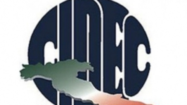 Logo del CIDEC - Italia a colori
