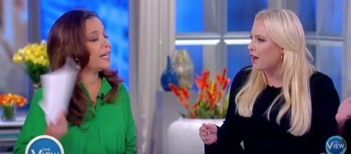 Sunny Hostin & Meghan McCain go at it. Screen cap image via, The View, Youtube.com