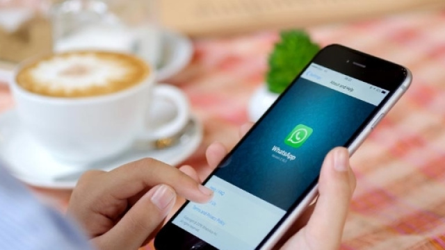 Ecco la novit&agrave; per gli utenti che usano WhatsApp - virgilio.it