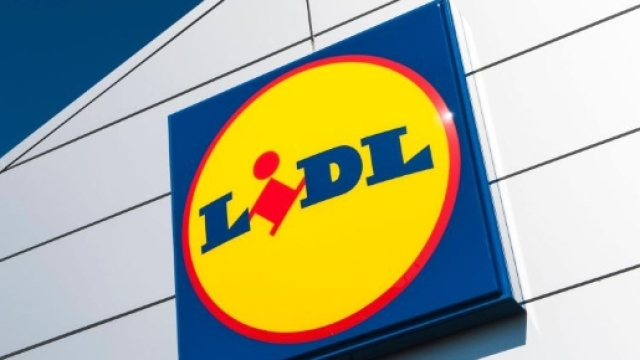 Lidl: direttore licenziato per aver lavorato troppo - thesun.co.uk