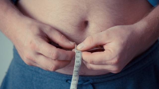 Seguire una dieta sana e perdere peso (Pixabay - jarmoluk)