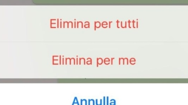 Si potranno eliminare i messaggi inviati di Whatsapp