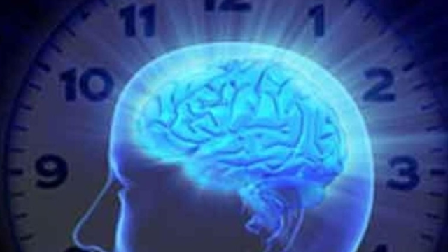 Il Nobel per gli ingranaggi dell'orologio biologico - La Stampa - lastampa.it