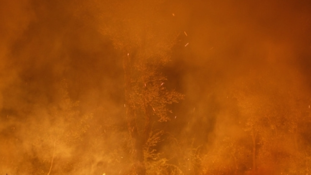 Le foto dei grandi incendi in Portogallo e Spagna - Il Post - ilpost.it