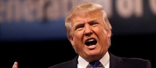 Donald Trump says Russian dossier is disgraceful. (Image: Gage Skidmore/Flickr