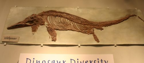 Researchers have discovered a giant Ichthyosaur fossil in India. (Image Credit: Ryan Somma/Wikimedia Commons)