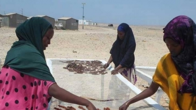 Donne somale durante le attivit&agrave; di essicazione del pesce.