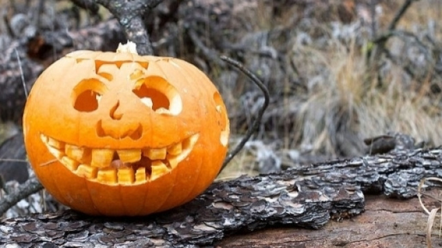 La mitica zucca di Halloween (Ph. cogdogblog)