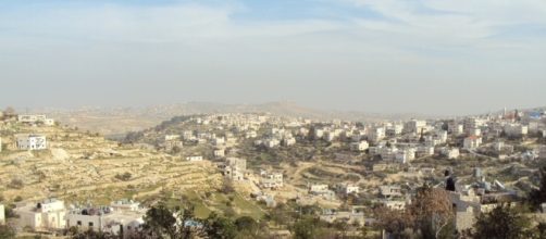 The Palestinian Liberation Organization - unity - Image | CCI Public Domain | Pixabay