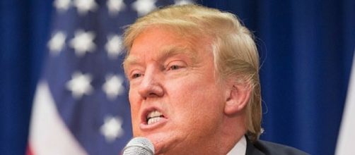 TRUMP MELTS DOWN, TRASHES EVERY AMERICAN WHO IS AGAINST HIS MUSLIM ... - democraticunderground.com