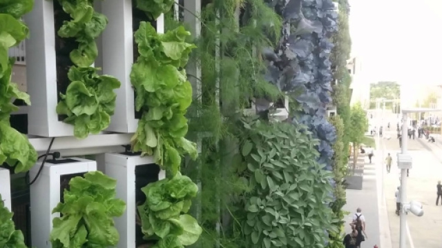 La fattoria verticale di Exp&ograve; 2015