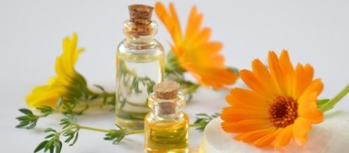 12 ess&ecirc;ncias que favorecem a sa&uacute;de