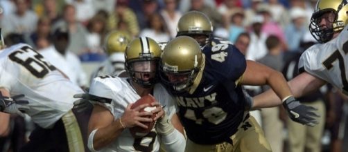 Cutler cannot go to the ground. [Image Credit: Damon J Moritz/Wikimedia Commons]