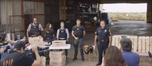 "Hawaii Five-O" gets a new four-legged team member. [Image Credit: Xetcrw/YouTube]
