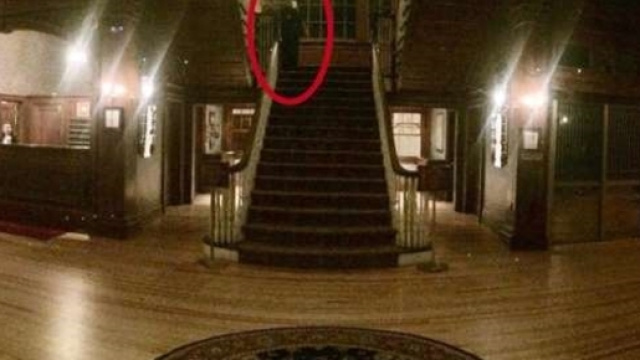 Lo scatto del presunto fantasma - MSN.com