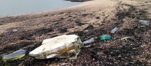 Discarded and / or carelessly disposed plastic. Canvey Island seafront.
