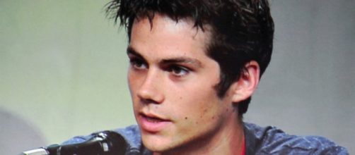 Photo credit - Heather Paul - Flickr