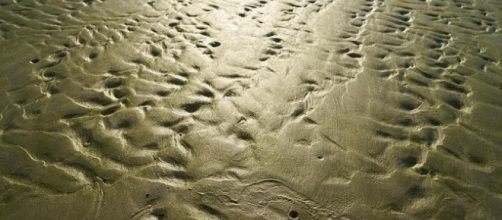 Warming soils release more carbon into air to trigger a feedback loop. [Image Credit: Pixabay]