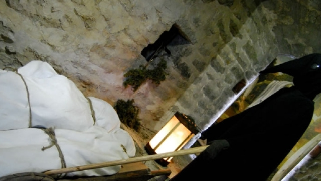 Casi di Peste Nera sono stati diagnosticati