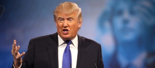 Donald Trump wants Hillary Clinton to run for the Presidency in 2020 by Gage Skidmore via Flickr