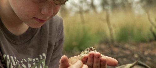 Ni&ntilde;os ps&iacute;quicos, clarividentes y con percepciones extrasensoriales ... - granmisterio.org