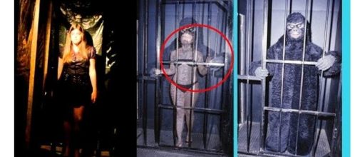 O segredo da mulher-macaco foi revelado