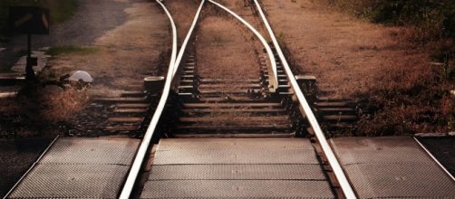 Por qu&eacute; a veces tomamos decisiones tan tontas | Blog Laboratorio ... - elpais.com