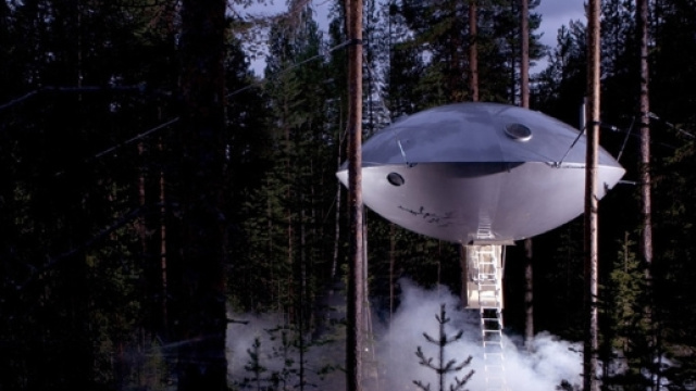 Voglio ritornare bambino: gli hotel sugli alberi pi&ugrave; belli al ... - latitudeslife.com