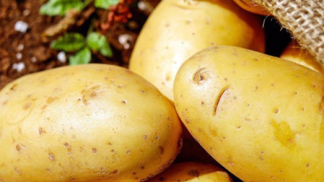 Le Pouvoir de l'Alimentation - ilocla-bienetre.fr