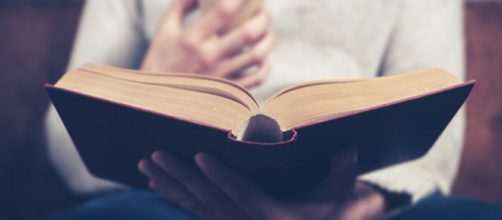 5 t&iacute;tulos que no te puedes perder