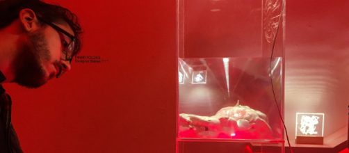 Pinar Yoldas, Designer Babies artistic rendering. [image credit: Roͬͬ͠͠͡͠͠͠͠͠͠͠͠sͬͬ͠͠͠͠͠͠͠͠͠aͬͬ͠͠͠͠͠͠͠ Menkman/ Flickr]