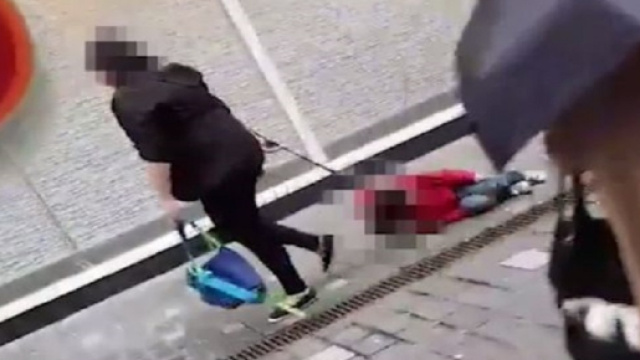 Autismo, madre trascina bimbo al guinzaglio