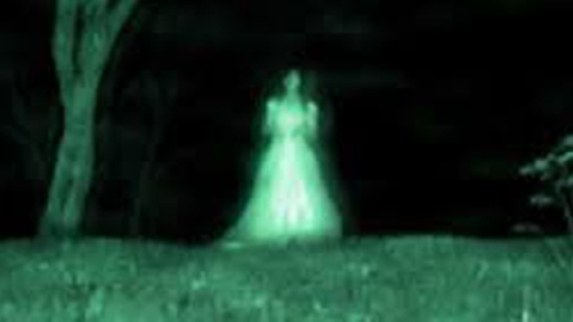 Immagine artistica presa da internet