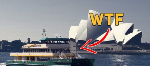 Ferry McFerryFace is born in Sydney