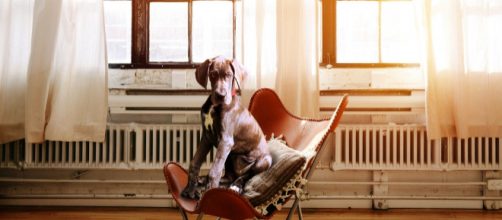 Help is educating beyond all boxes; (Image via Sarah/Pixabay)