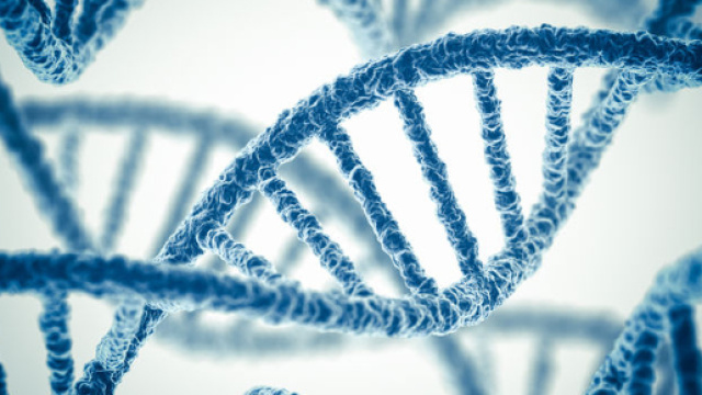 DNA: modificato il codice genetico di un essere umano
