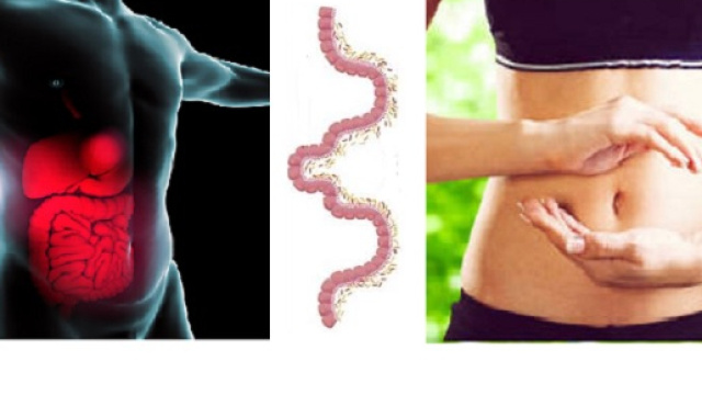 Oltre ad avere molteplici implicazioni, la nostra flora intestinale pu&ograve; influenzare la risposta alle terapie oncologiche.